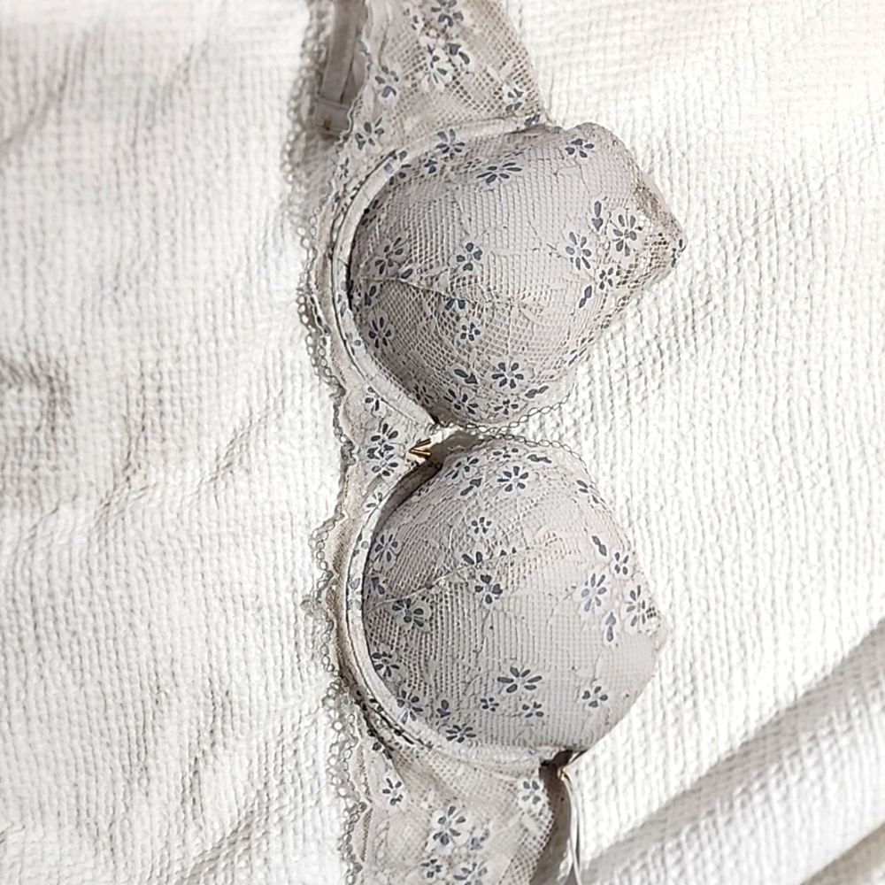 Victorias Secret Plunge bra 36DD